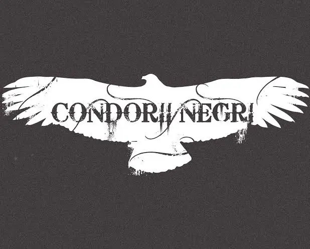 Condorii Negri, un grup muzical din Chișinău, Moldova